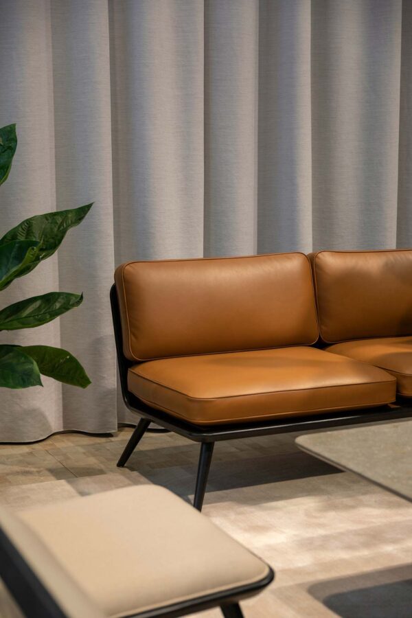 Modern lounge with leather couch and large plant.